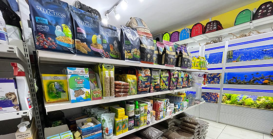 Akvaryum, Muhabbet Kuşu, Kedi, Köpek, Mama, Yem