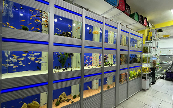 Baykuş Pet Shop Antalya